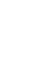 Big Z