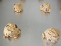 Photo of Frozen Cookie Dough by Deb Degryse Clark